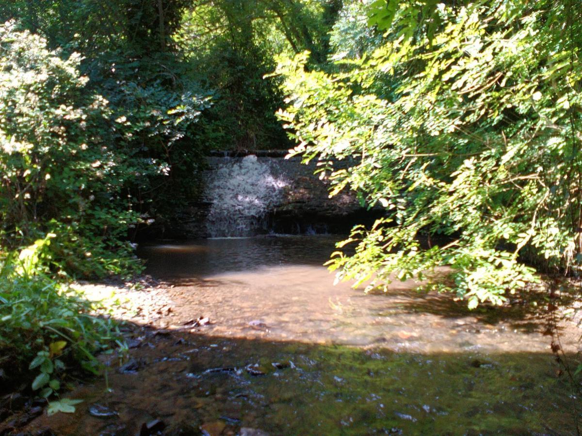 Domaine Le Mayne Chabrignac Dış mekan fotoğraf