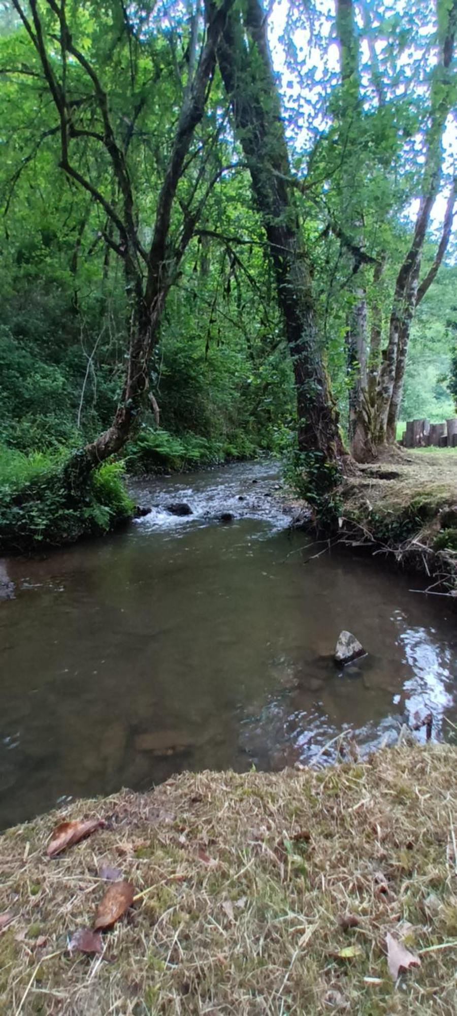 Domaine Le Mayne Chabrignac Dış mekan fotoğraf